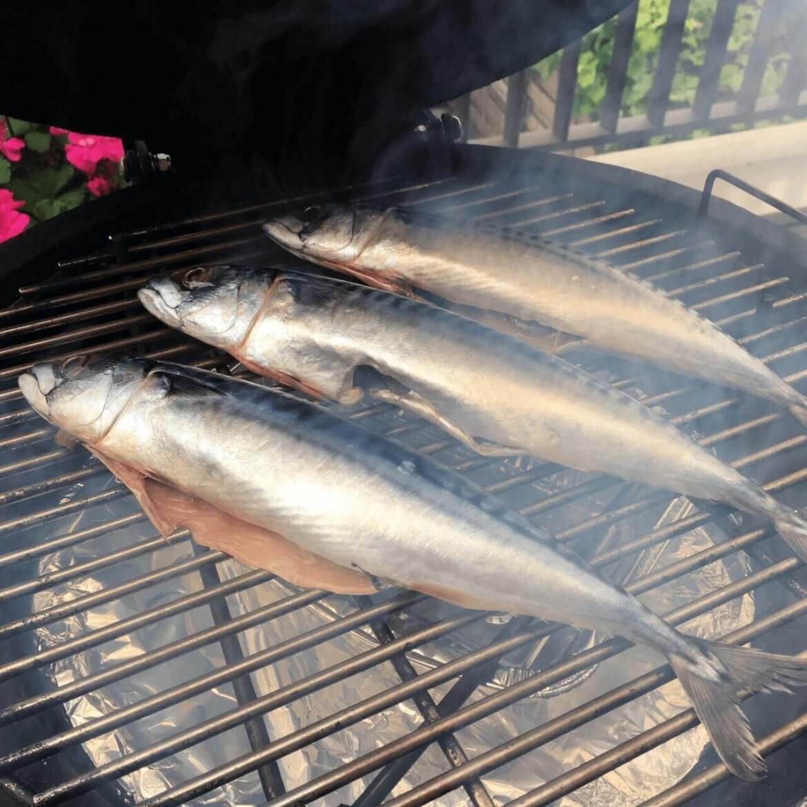 gerookte-makreel-groot